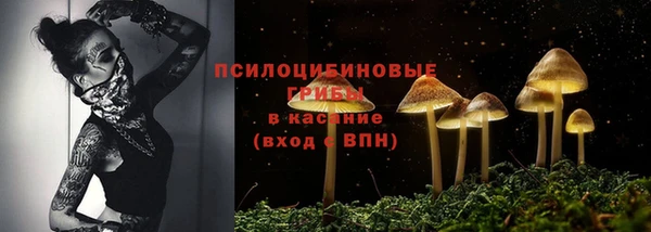 прущие крисы Чердынь