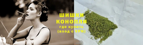 прущие крисы Чердынь