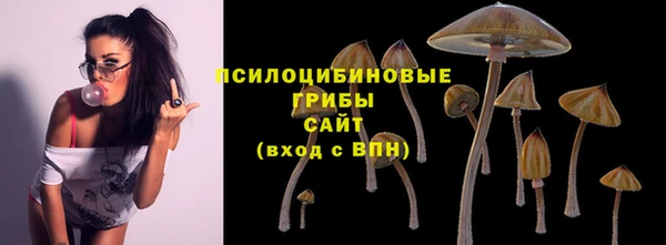 прущие крисы Чердынь